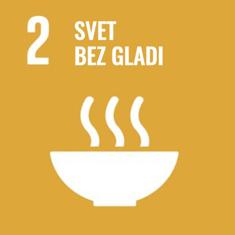 Svet bez gladi