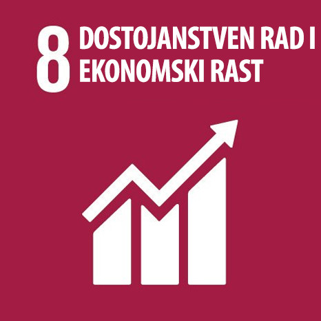 Dostojanstven rad i ekonomski rast