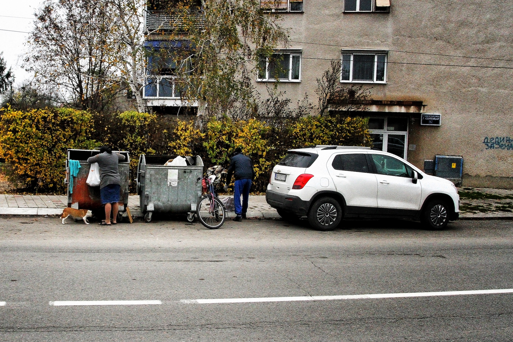Preživeću - Tatjana Galić-Zetović